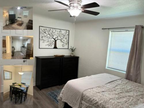 Casita Mariposa Verde