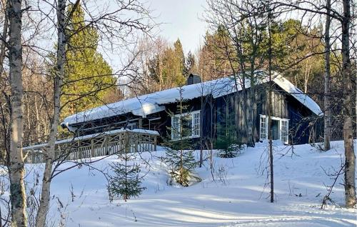 . Gorgeous Home In Os I Østerdalen