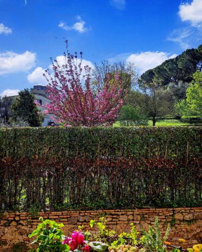 Il Bacio Del Sole San Gimignano Apartments