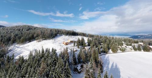Holzfäller-Chalet (Holzfaller-Chalet) in Obdach