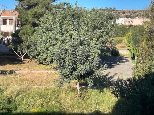 Holiday Home image 8