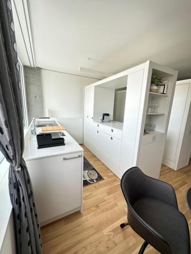 MydiHei @ Rhyfall Towers in Schaffhausen