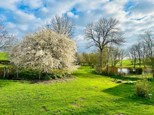 Kilátás, Ferienwohnung mit Luxusbad, Terrasse Ostseenähe (Ferienwohnung mit Luxusbad, Terrasse Ostseenahe) in Gremersdorf