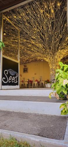 Seed Resort