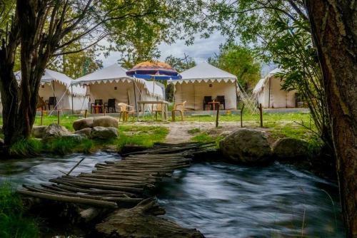 Royal Deluxe Camp - Nubra in Hundara