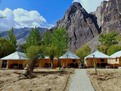 Royal Deluxe Camp - Nubra in Hundara