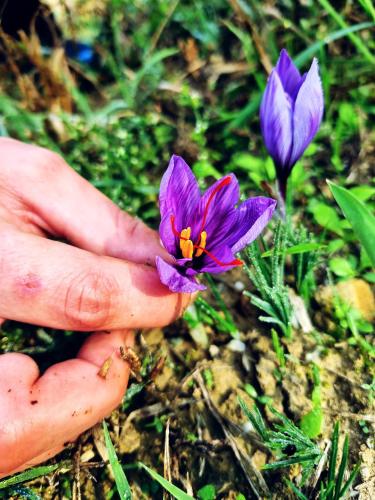 Ospitalità Agricola di Langa - Alloggio Mansardato Vacanze