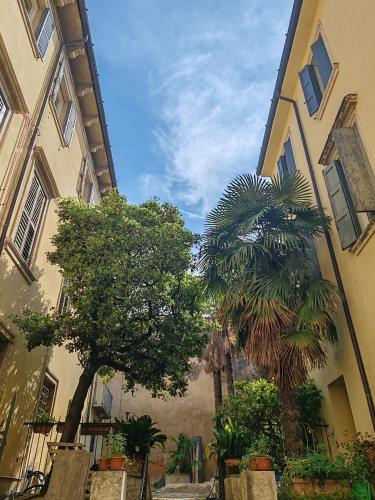 PAO Apartment - Veronetta 1, Verona (fotografie 10)