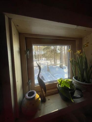 the off grid wilderness cabins near Lyckselei repülőtér