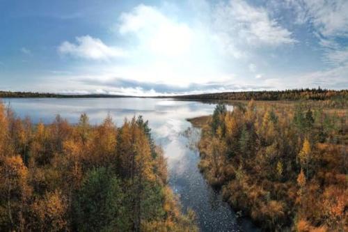 the off grid wilderness cabins near Lyckselei repülőtér