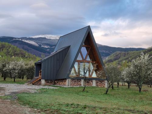 Cabana A-frame Dor de Hateg · Uric
