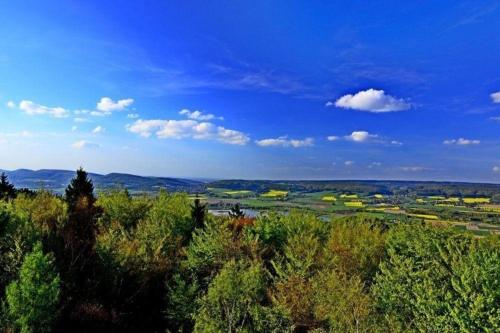 Gemütliches Ferienhaus Alissa für 5 Personen mit Sauna und Kaminofen von Privat im Ferienpark Extert (Gemutliches Ferienhaus Alissa fur 5 Personen mit Sauna und Kaminofen von Privat im Ferienpark Extert) in Extertal