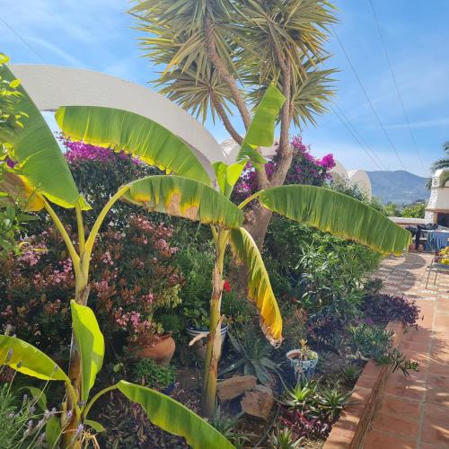 Casa Jazmin, Nerja (photo 6)