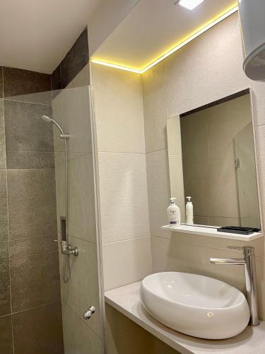 Studio Apartment image 8