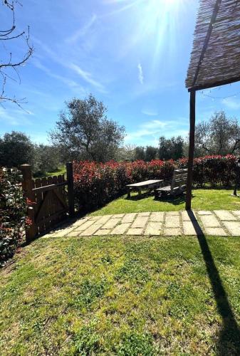 Agriturismo Poggio Degli Ulivi