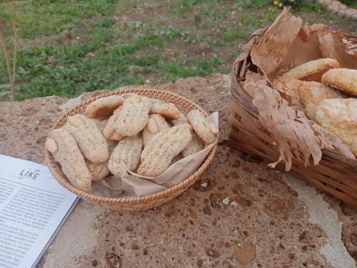 Tratturo dei Greci, biocasa vacanza