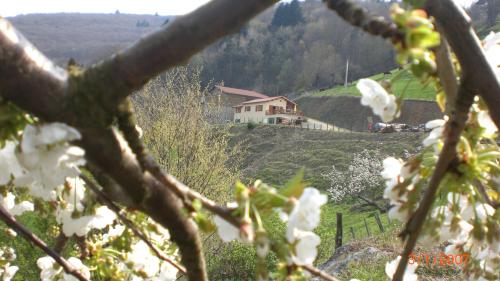 le Mirador - Location saisonnière - Courzieu