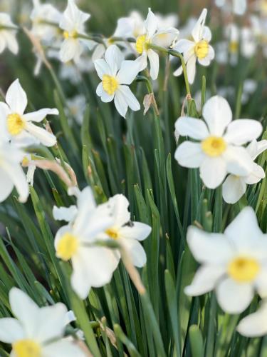 Wooden Cottage - image 7