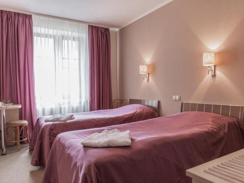 Garni Hotel Sibiria - image 14