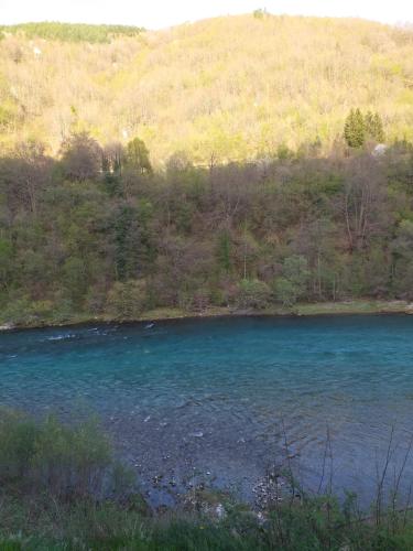 Motel Bavaria - image 11