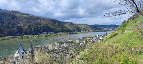 Gemütliche Wohnung, Küche, Bad, Netflix, Rheinblick