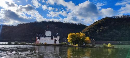 Gemütliche Wohnung, Küche, Bad, Netflix, Rheinblick