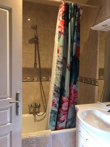 Parigi XI grande appart 2 camere da letto bagno privato 4 e più ospiti - image 7