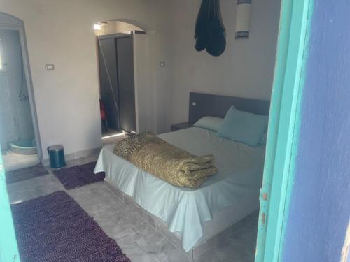 Ziena marvel camp in El Quseir