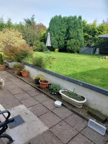 Hillside Haven in ทิปเปอร์แรรี