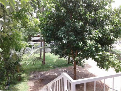 อุทรยา เกสต์ (Oudarya Guest) in โปลอนนารุวา