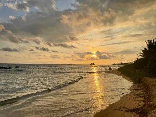 Beachbums CoLiving Midigama