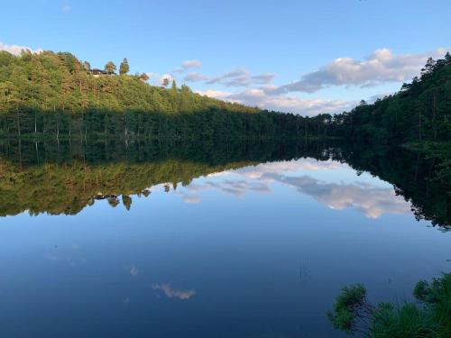 Velkommen til en koselig leilighet på Sørlandet!