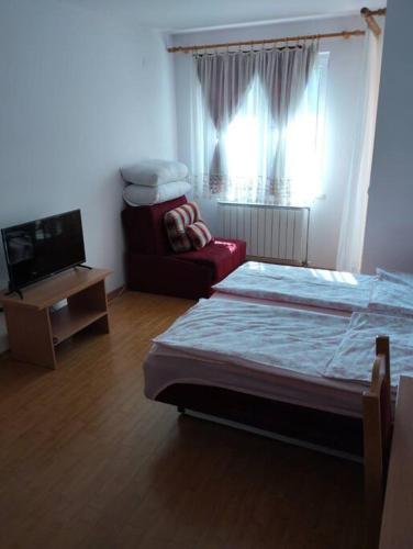 Apartment in Banja Koviljaca, Banja Koviljača (fotografie 7)