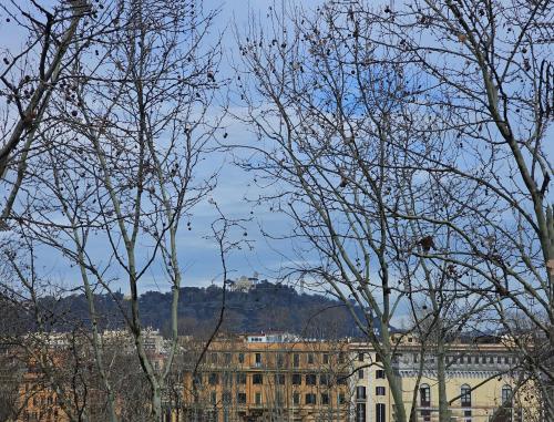 Exclusive Domus Vatican- Meospiti Cesare Exclusive - main image