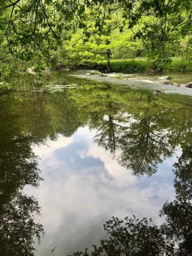 Maison Cosy Rénovée - Puy du Fou (Maison Cosy Renovee - Puy du Fou) in Saint Laurent Sur Sevre
