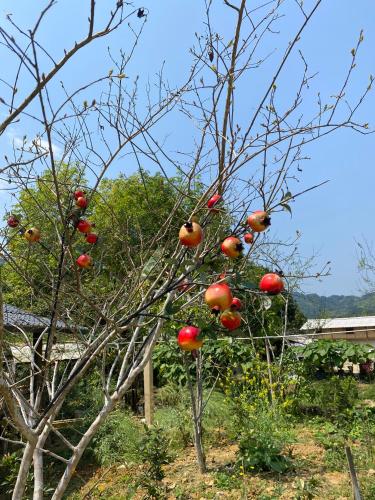 Dìn Homestay Nặm Đăm