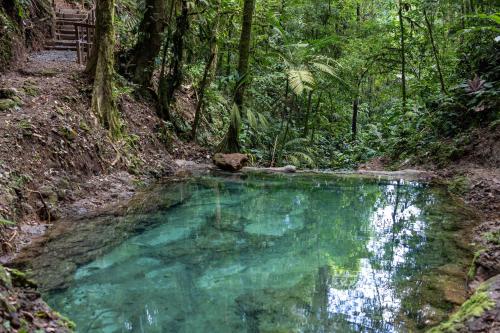 Cabañas Caeli, El Toucan, Peaceful Rainforest Retreat with Stunning Views, Fortuna (photo 9)