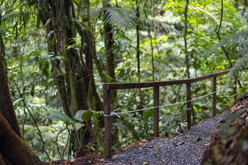 Cabañas Caeli, El Toucan, Peaceful Rainforest Retreat with Stunning Views, Fortuna (photo 10)