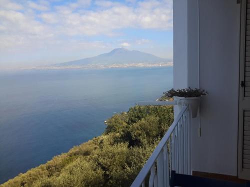 Ambrosio home Ambrosio home