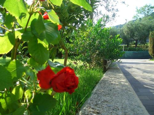 Hotel Villa Verde – Torbole, TN