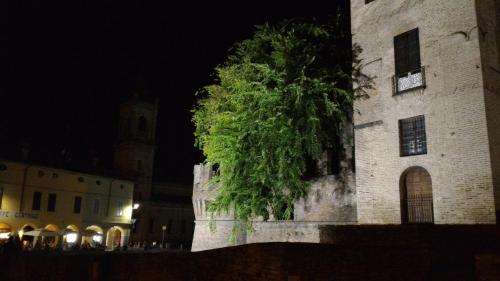 Agriturismo La Fattoria Del Boschetto - image 6