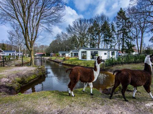 Chalet by the Pond with Modern Comfort, De Bult (fotografie 6)