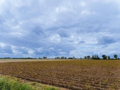 Idyllic Holiday Home in Ooltgensplaat near centre