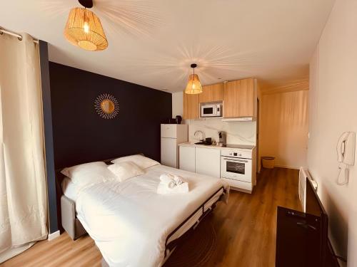 Le Cocoon - Home Homy, Vierzon (foto 10)