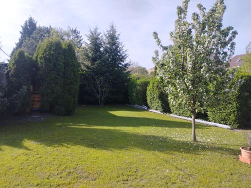 Puzzle Apartman Puzzle Apartman