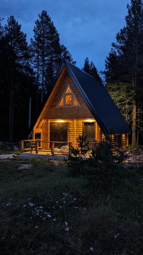 Pine forest-White, Žabljak (foto 9)