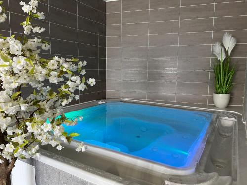 Pezsgőfürdő, Hotel Calme Des Pins & Spa in Sables d'Olonne