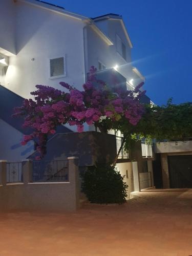 Apartment Bozovic - image 4