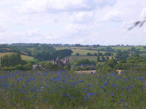 Manor house, huge park, Le Mans area