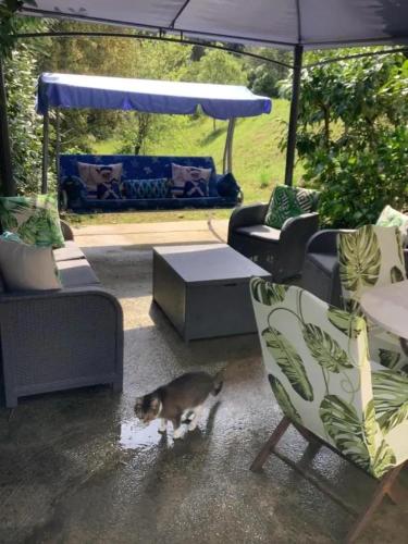 Appartement d'une chambre avec terrasse amenagee et wifi a Eccica Suarella a 3 km de la plage